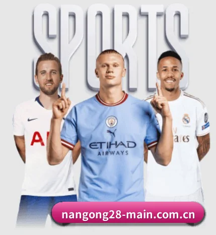 南宫28官网 APP